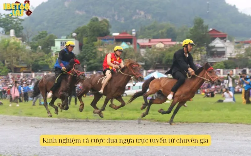 Kinh nghiệm cá cược đua ngựa trực tuyến từ chuyên gia
