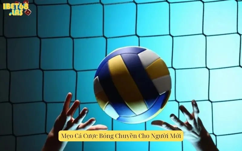 Mẹo Cá Cược Bóng Chuyền Cho Người Mới