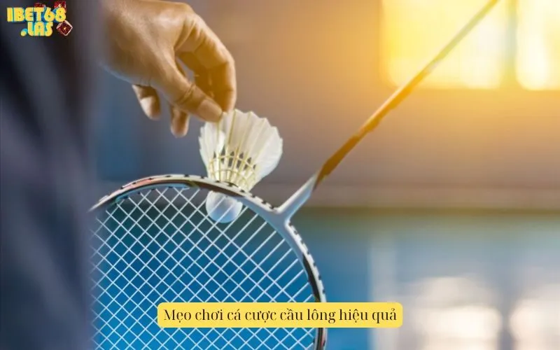 Mẹo chơi cá cược cầu lông hiệu quả